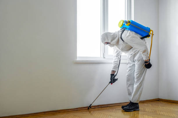 Emergency Pest Control Services in Shinglehouse, PA